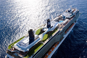 Celebrity Reflection